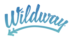 WILD_Gradient_Logo